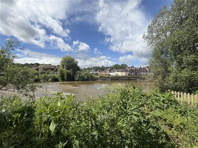 Picture 20